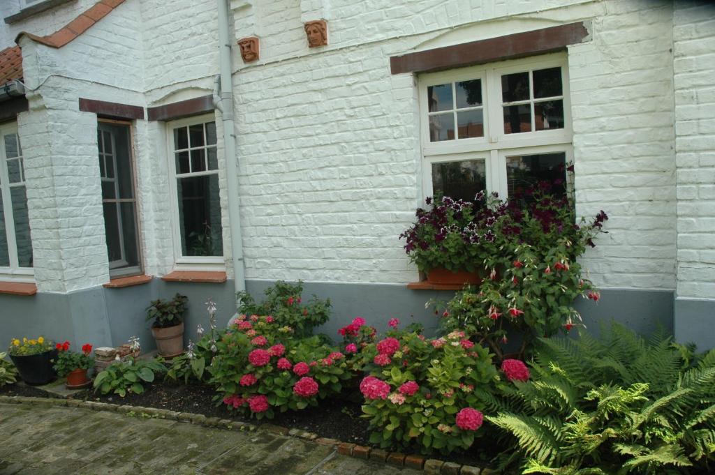 B&B Le Maquis De Haan Esterno foto